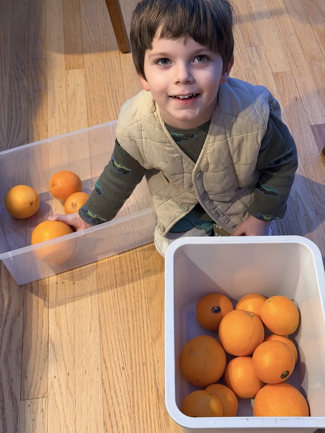 Young Boy Sorting Oranges on Kitchen Floor