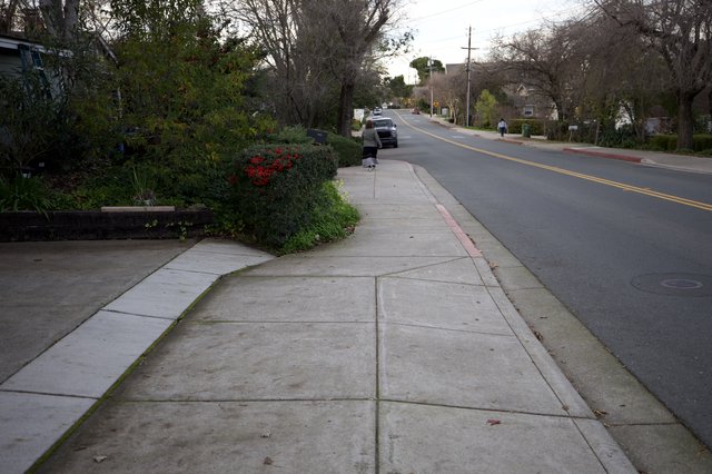 Residential Suburban Street with Winding Sidewalk at Dusk