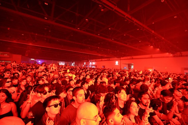 Massive Crowd Bathed in Red Light at Wobbleland
