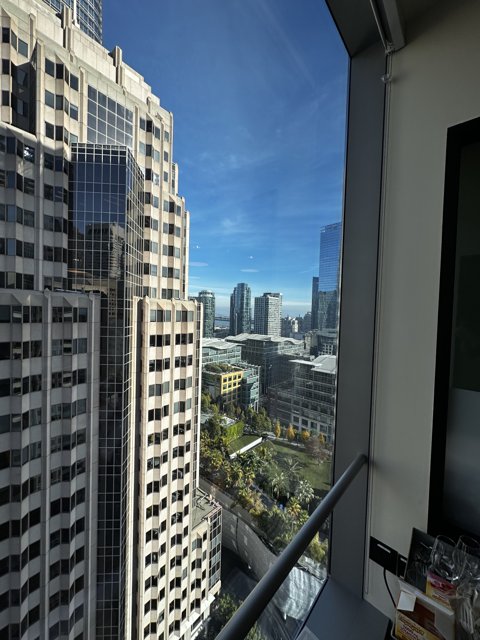 A Bird's Eye View of San Francisco