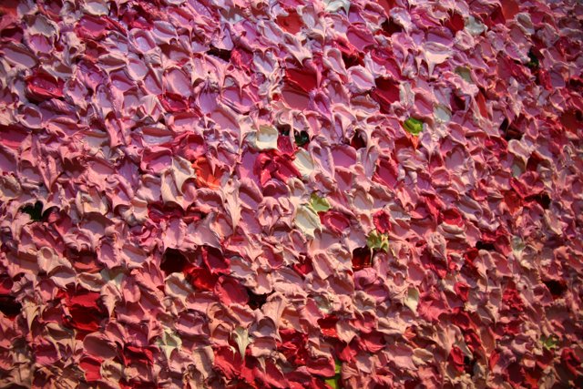 A Wall of Pink Petals