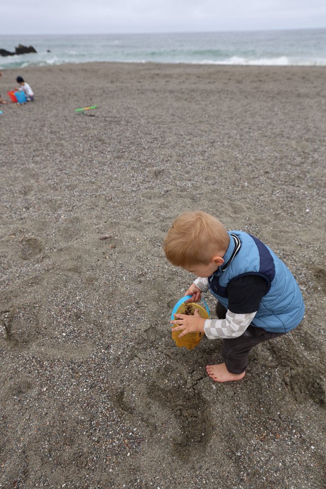 Toddler Discovers Joy of Beach Sand Play
