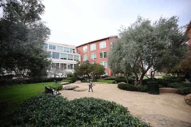 Child Exploring Landscaped Courtyard at Modern Campus