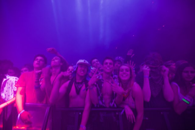 Purple Haze Concert Madness