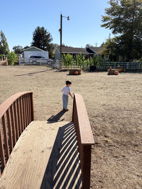 Autumn Stroll in Santa Rosa