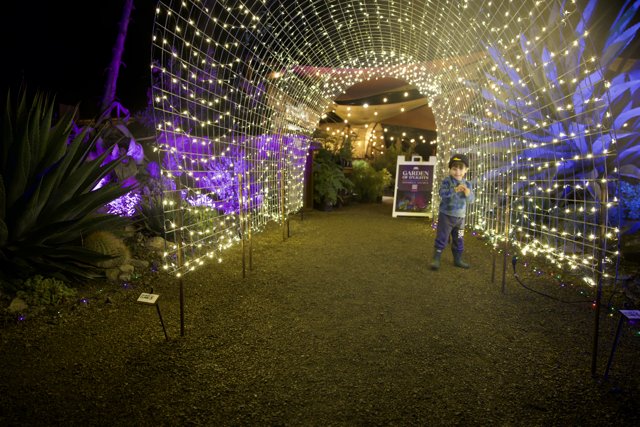 Enchanted Pathway at Garden of D'Lights
