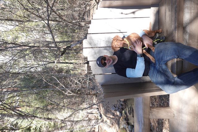 Man and Dog Relaxing on Outdoor Bench