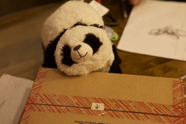 The Panda Box Guardian