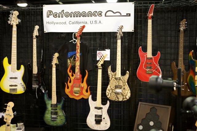 A Feast for the Eyes: A Collection of Beautiful Guitars