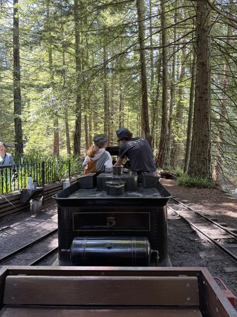 Timeless Journey through Tilden Woods