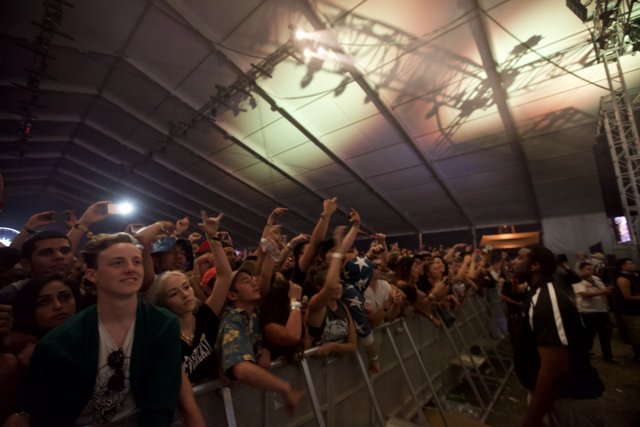 Crowd Excitement at Coachella Concert