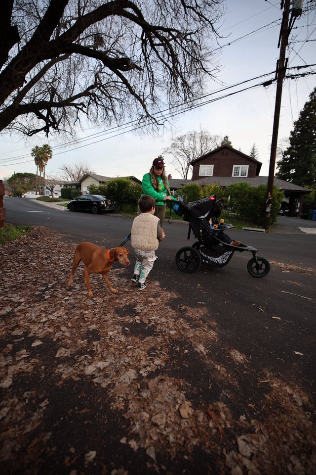 Family Evening Walk in Suburban Neighborhood