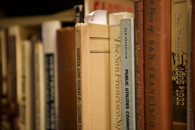 A Row of Publications on a Library Bookshelf