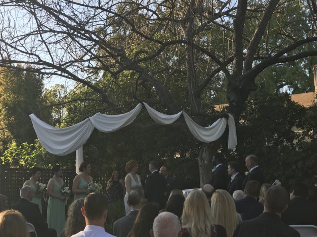 A Beautiful Park Wedding