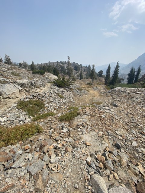 Rocky Trail in Desolation Wilderness