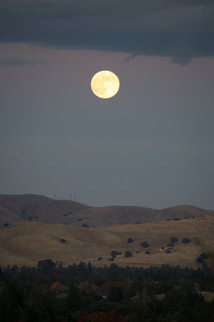 Walnut Creek's Celestial Glow