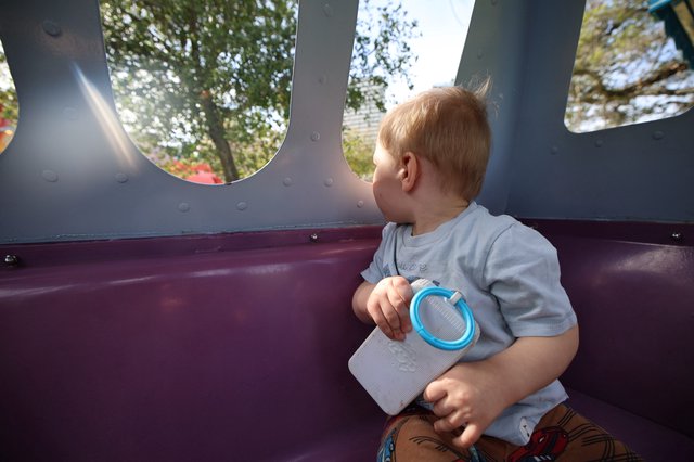 Toddler Gazing Out Playground Structure Window