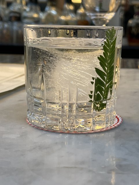 Fern-infused Refreshment