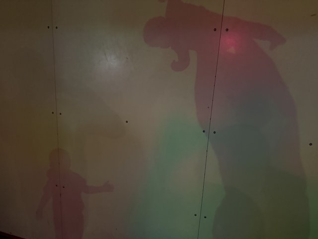 Chromatic Shadows