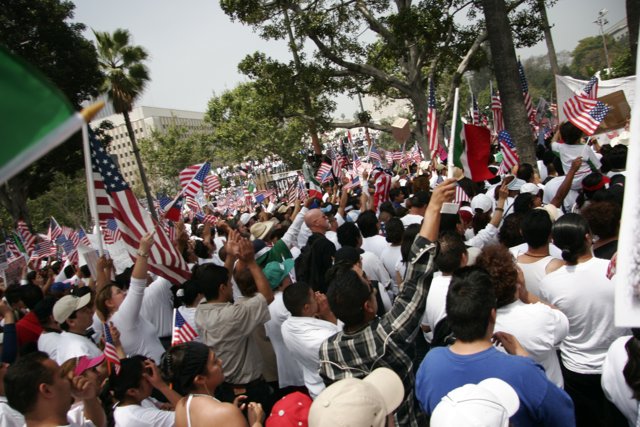 Patriotic Crowd at a Parade