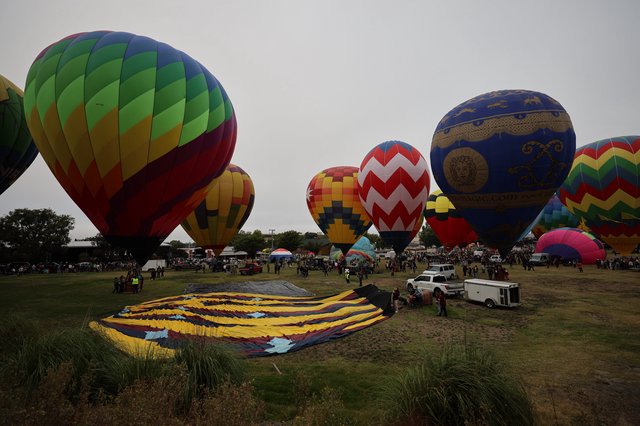 Colorful Hot Air Balloons Fill the Morning Sky
