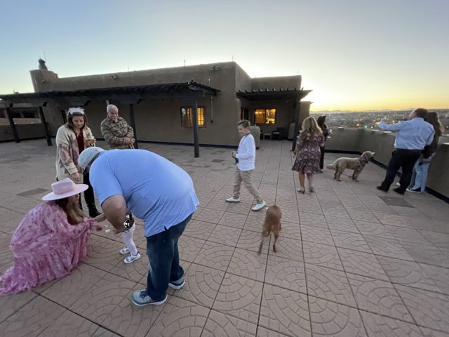 Sunset Rooftop Gathering with Dogs and Friends
