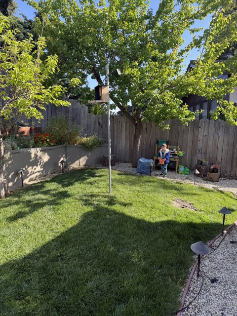 Spring Morning in the Backyard