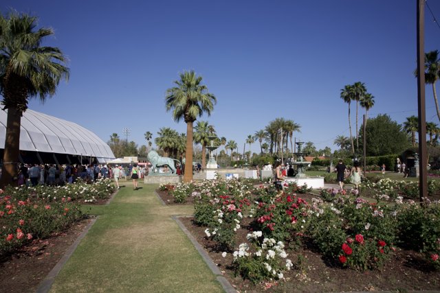 Blossoming Beats: A Day at Coachella 2024