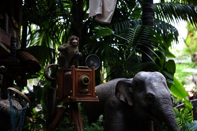 Capturing the Jungle's Magic: An Elephant's Perspective