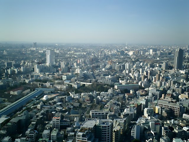 Panoramic view of Tokyo metropolis