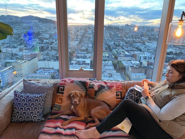 City Living with Canine Companion