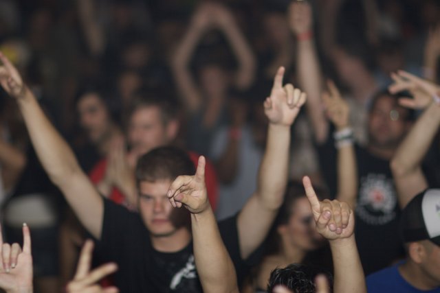 Hands Up at the 2006 Concert