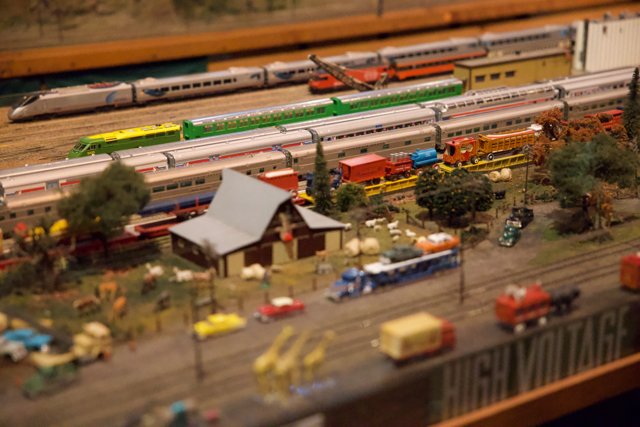 Trains in Miniature: A Whimsical Journey