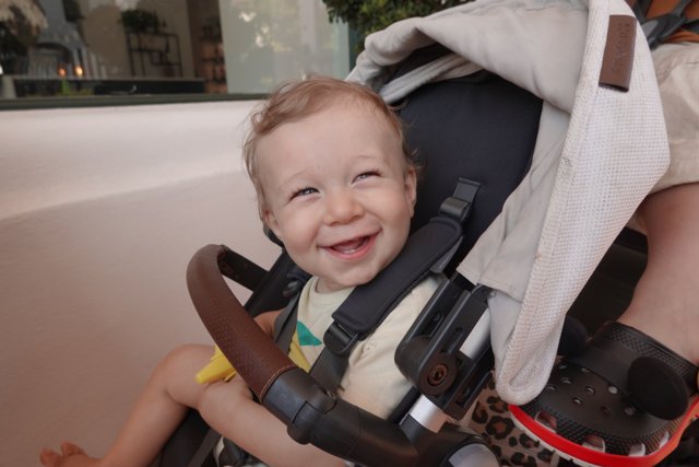 Joyful Stroll with Baby