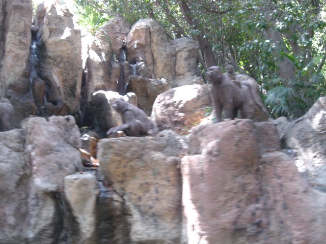 The Bears of the Park
