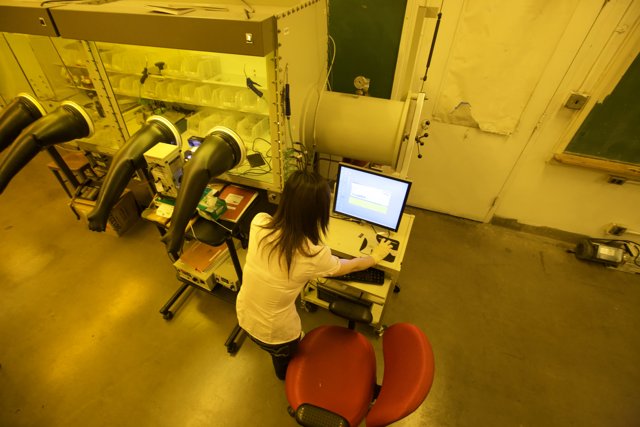 Lab Work at UCLA Quantum Nano