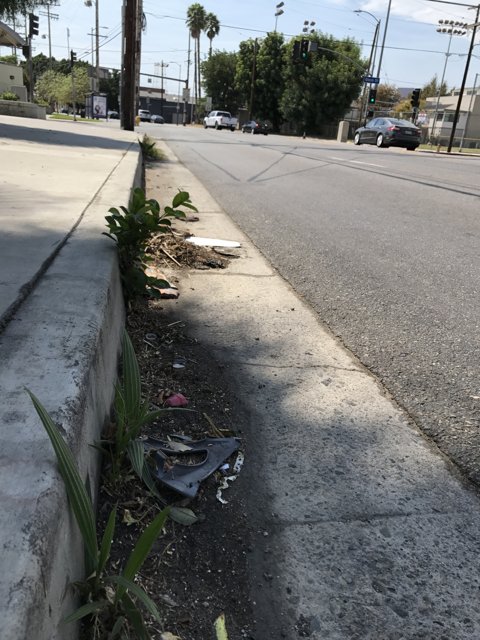 Neglected Sidewalk