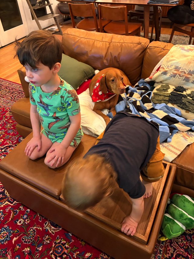 Cozy Family Morning with Kids, Dogs, and Pajamas
