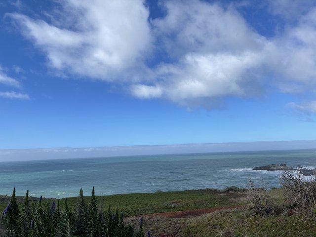 A Majestic View of the Ocean from a Hill in Jenner, California
