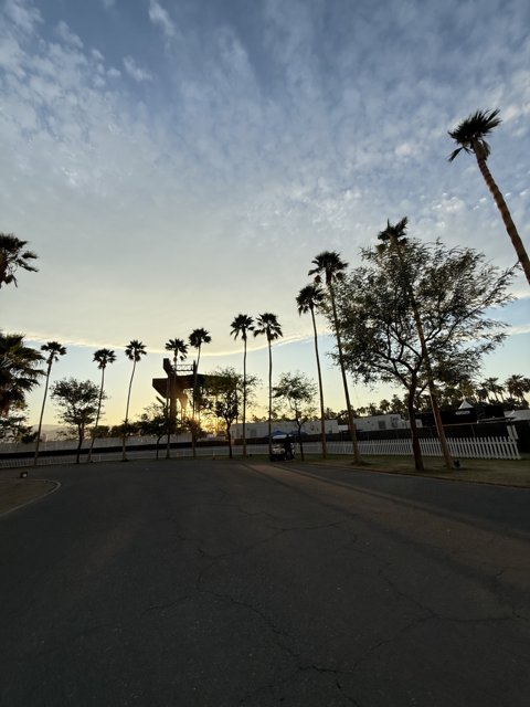 Palm Silhouettes at Dusk