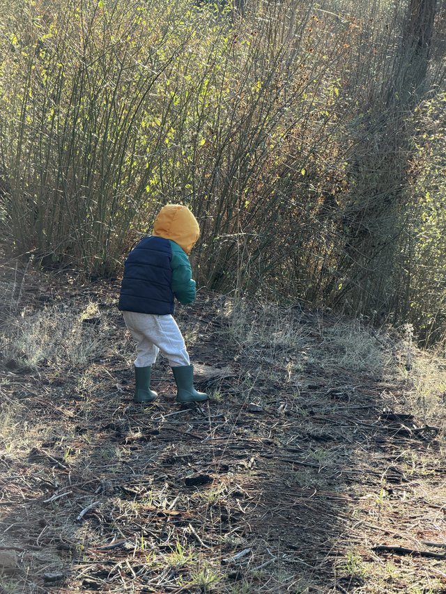 Toddler Explorer Discovers Nature's Winter Wonderland