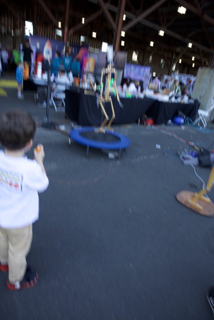 Taking Leaps at Maker Faire