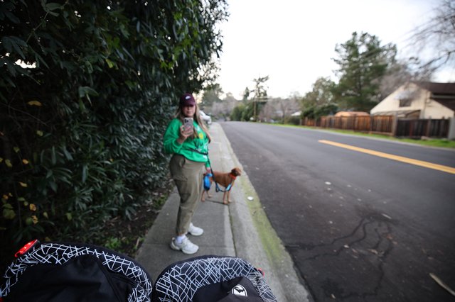 Sunday Morning Dog Walk in Suburban Neighborhood