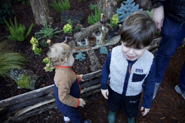 Enchanted Discoveries at Thistlewyck