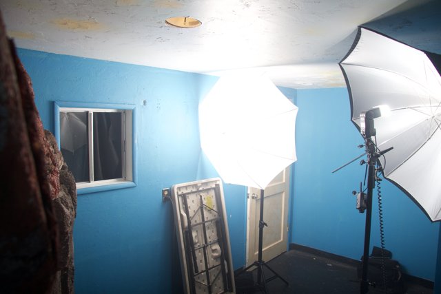 Blue Wall Light Room