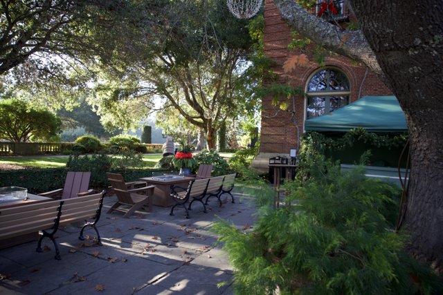 Tranquil Afternoon at Thistlewyck Garden
