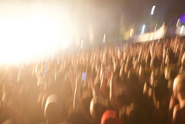 Electric Crowd at FYF Bullock Concert