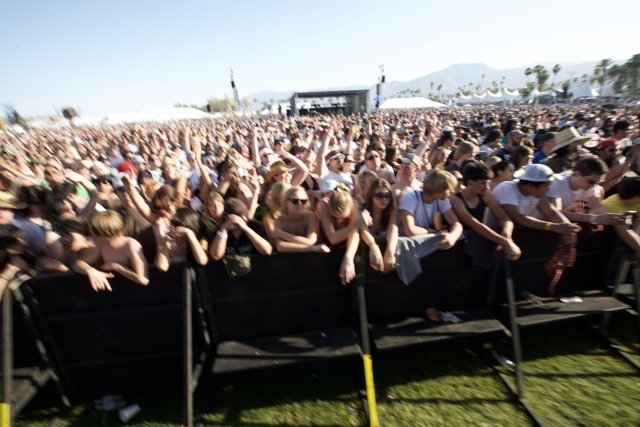 Coachella 2008 Crowd