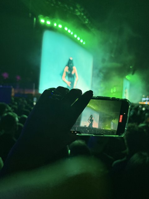 Capturing the Vibes