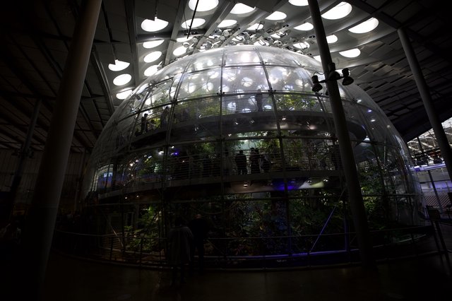 Illuminated Biodome Ecosystem in Modern Architecture